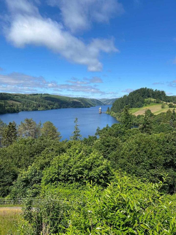 Vyrnwy &